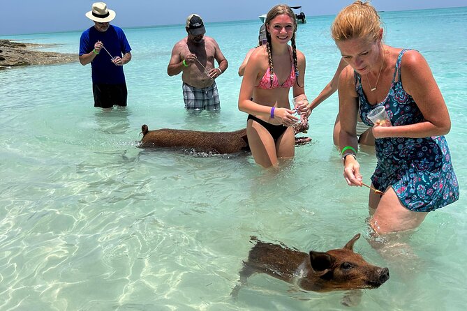 007 Private Beach Club -Swimming Pigs, Snorkeling, Lunch, Drinks - What Your Four Hours at Sea Actually Include