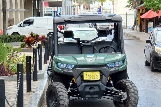 3 Hour Guided Beach buggy sightseeing city tour. (Free samples). - Fort Fincastle or Fort Montagu?