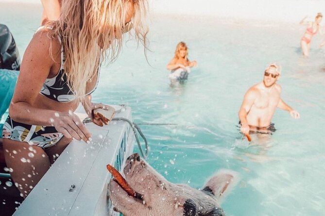 3 Islands Tour, Swim with Pigs, Turtles, Snorkelling & lunch - Rose Island, pigs, beach time, and lunch