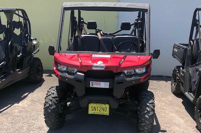 4-Hour Buggy Tour of New Providence (Inclusive of water & local deserts) - Eating and browsing at Arawak Cay