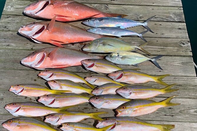 4 hours 34ft Day Dream Private Charter in Nassau - Snorkeling, turtles, and a change of pace