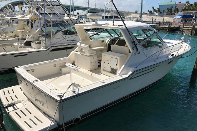 4 hours 38ft Reel Dreams Private Charter in Nassau - Key points at a glance