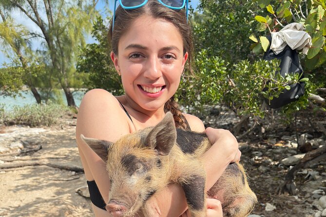 4-Island Tour Swimming Pigs, turtles, snorkeling , rose island, - Snorkeling near Pearl Island or Rose Island