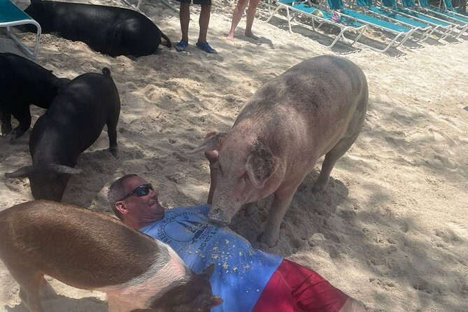 4hr Private Tour Island Hop Snorkel w/ Turtles & Sip Bahama Mamas - What the crew adds to the day