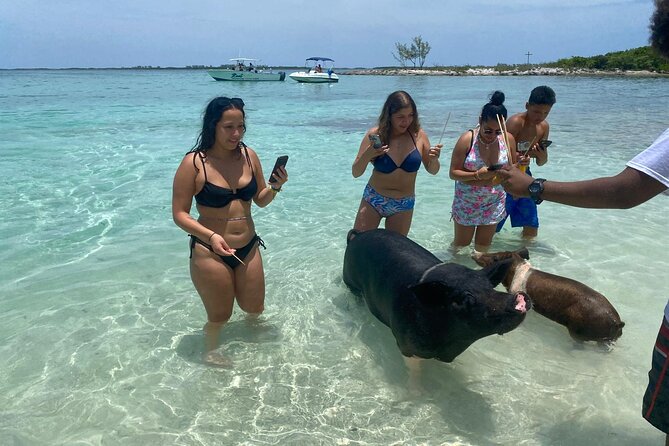 4hr Private Tour Island Hop Snorkel w/ Turtles & Sip Bahama Mamas - Family fit, group size, and comfort