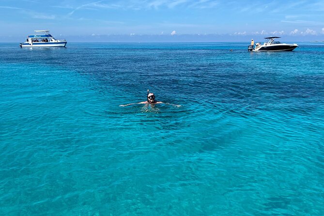 5 Hours Pigs and Turtles with Beach Stop in Bahamas - Why the small boat matters around Nassau