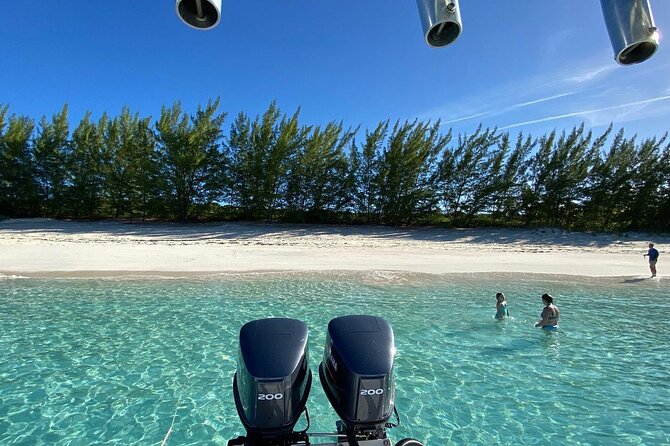 5 Hours Pigs and Turtles with Beach Stop in Bahamas - Snorkeling and the search for turtles