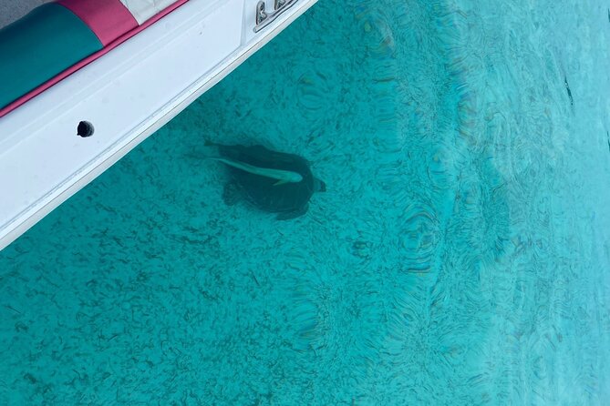 5 Hours Pigs and Turtles with Beach Stop in Bahamas - The crew can shape the whole day