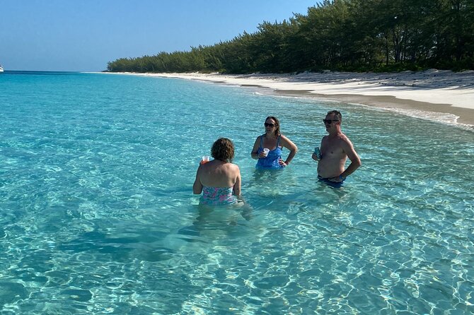 5 Hours Pigs and Turtles with Beach Stop in Bahamas - Who will enjoy this Bahamas excursion most