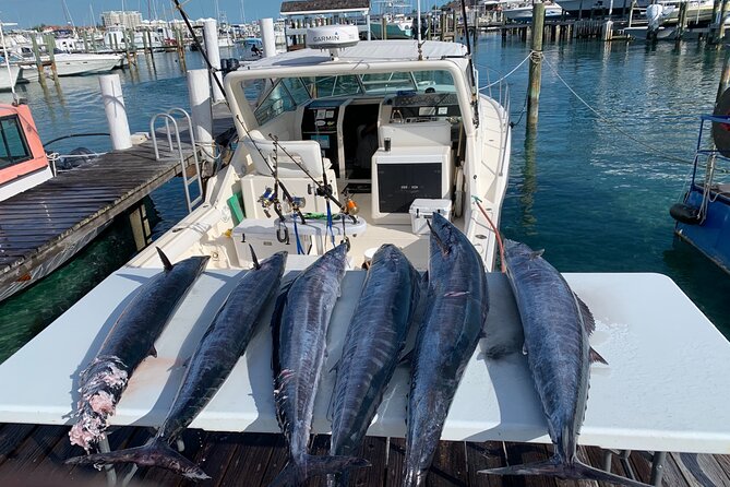 8 hours 38ft Reel Dreams Private Charter Nassau - Inshore and light-tackle fishing for faster action