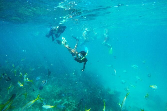 All Inclusive Half Day Sail and Snorkel - Key Points Before You Sail