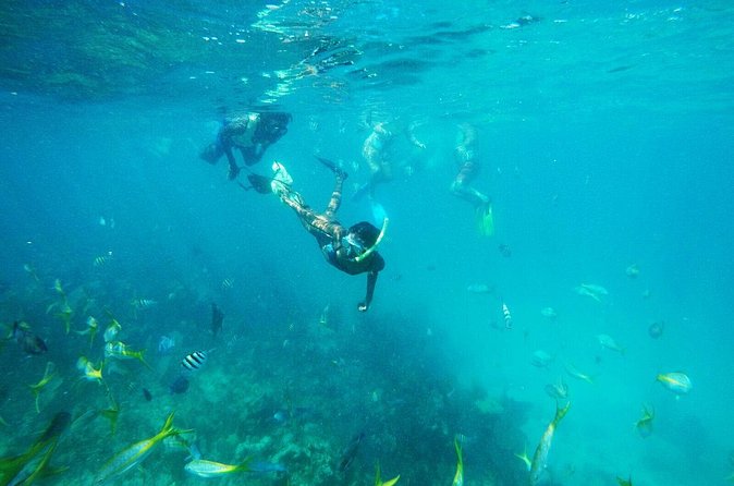 All Inclusive Half Day Sail and Snorkel - Is $165 a Fair Price?