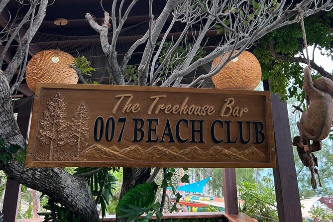 All Inclusive Pig Encounter, Snorkeling, Turtles, Lunch & Beach - What this Rose Island outing is really offering
