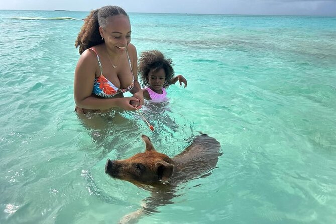 All Inclusive Pig Encounter, Snorkeling, Turtles, Lunch & Beach - Green Cay and the turtle sanctuary