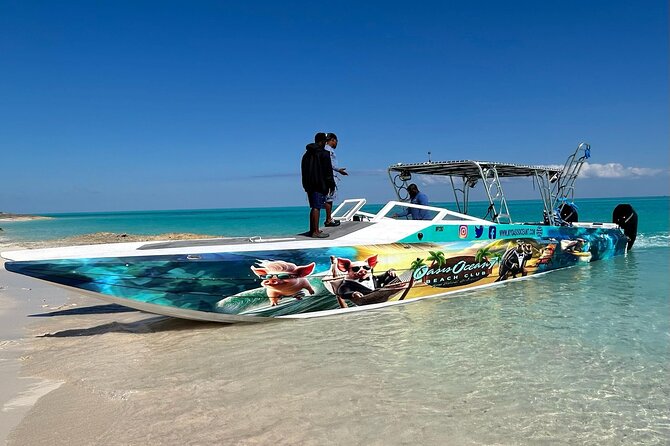 All Inclusive Pig Encounter, Snorkeling, Turtles, Lunch & Beach - Meeting the Rose Island pigs