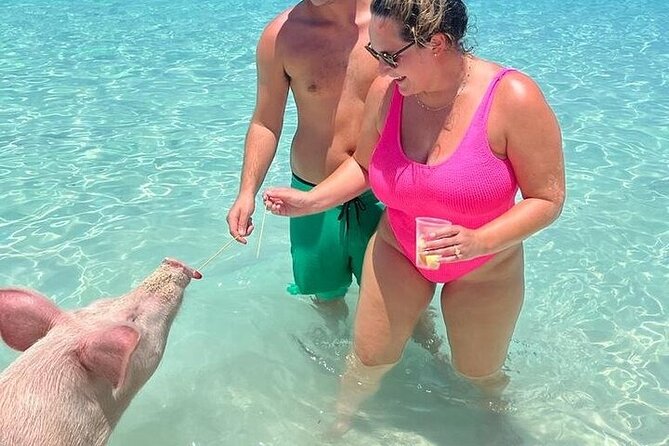 All Inclusive Pig Encounter, Snorkeling, Turtles, Lunch & Beach - The private 007 Beach Club on Rose Island