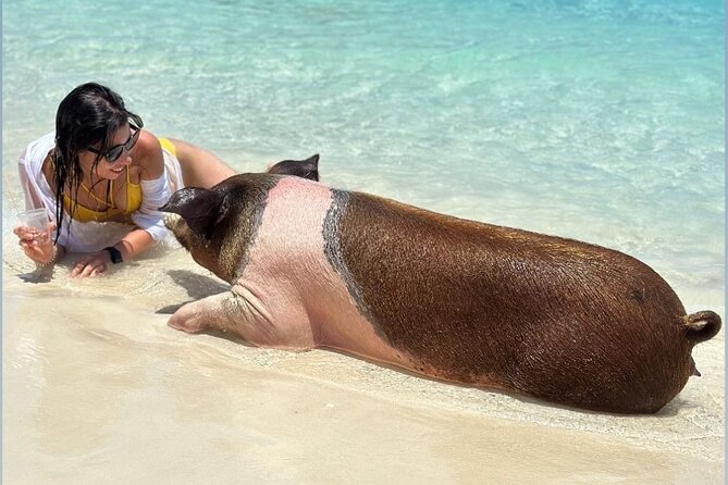All Inclusive Pig Encounter, Snorkeling, Turtles, Lunch & Beach - Crew, music, and the feel on board