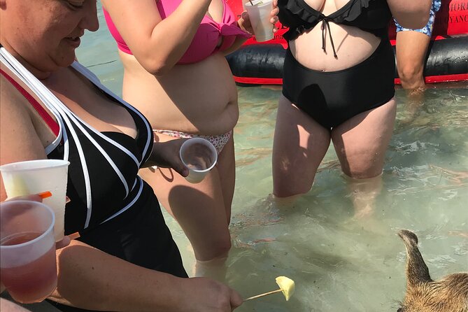 All Inclusive Swimming With The Pigs - Is $150 per person a fair price?