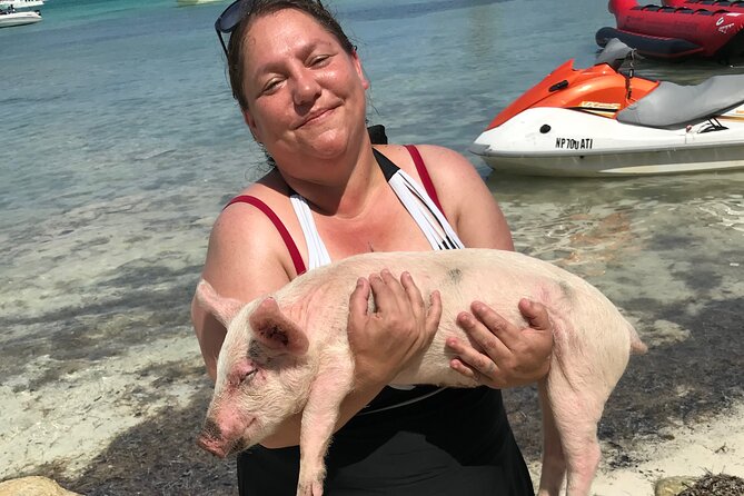 All Inclusive Swimming With The Pigs - Meeting point and the route confusion