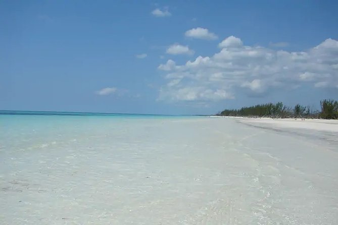 Around Town/Bahamian Cooking Experience - Beer, rum cake, and Bahamian-made treats