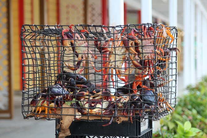 Around Town/Bahamian Cooking Experience - Freeport begins at the open-air farmers market