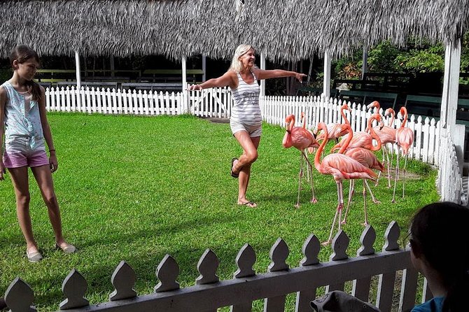 At YOUR Pace Private Tours V.I.P - Nassau, Bahamas - The Straw Market and Parliament Square