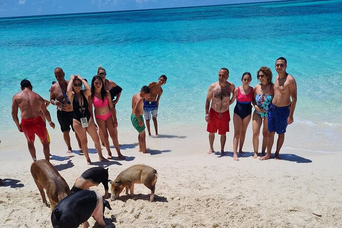 Athol Island Swimming Pigs Half-Day Boat Tour with Lunch - Bahamian lunch needs advance planning