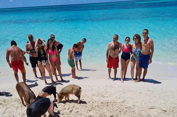 Athol Island Swimming Pigs Half-Day Boat Tour with Lunch - The crew can make or break the day