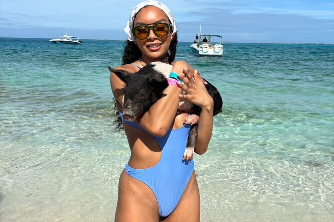 Bahamas Adventure: Pigs, Reef, Turtles, and Beach with Lunch - A fast, full morning from Paradise Island