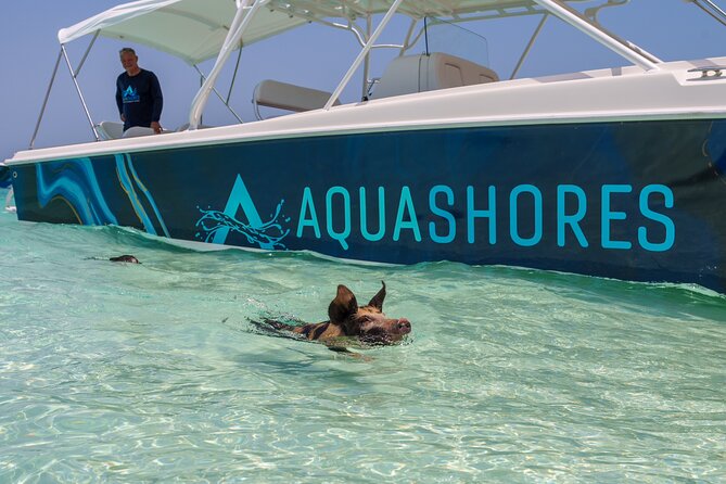 Bahamas Adventure: Pigs, Reef, Turtles, and Beach with Lunch - Lunch at Footprints on Rose Island