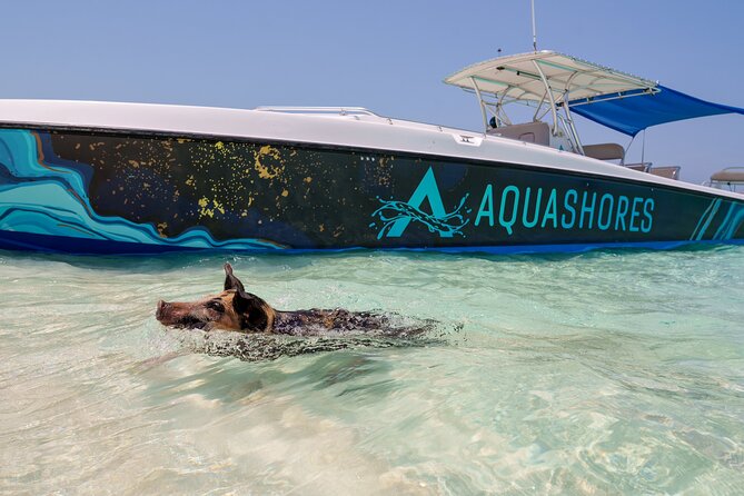 Bahamas Adventure: Pigs, Reef, Turtles, and Beach with Lunch - What the $299 price really covers