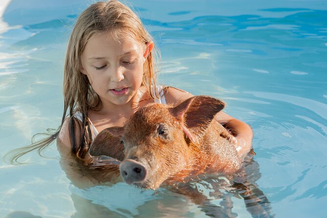 Bahamas Adventure: Pigs, Reef, Turtles, and Beach with Lunch - Who will enjoy this boat tour most