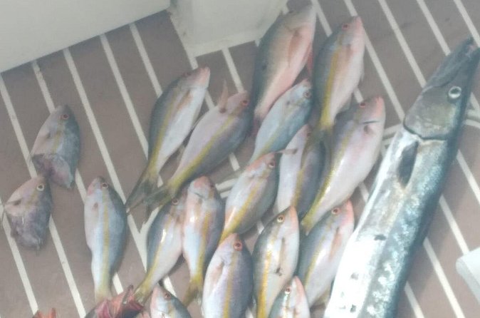 Bahamas Deep Sea Fishing - The private format and who will enjoy it