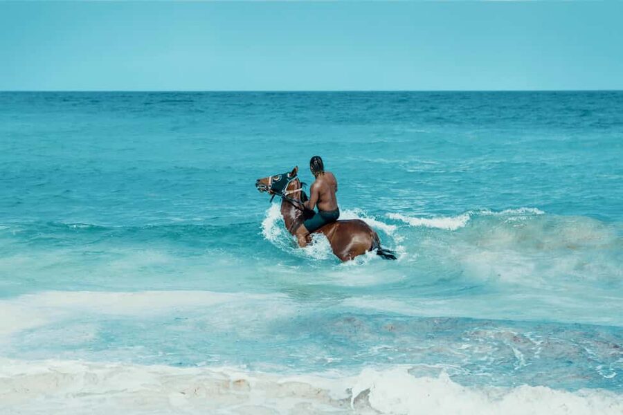 Bahamas: Nassau Horseback Riding on Beaches & Trails - Key points at a glance