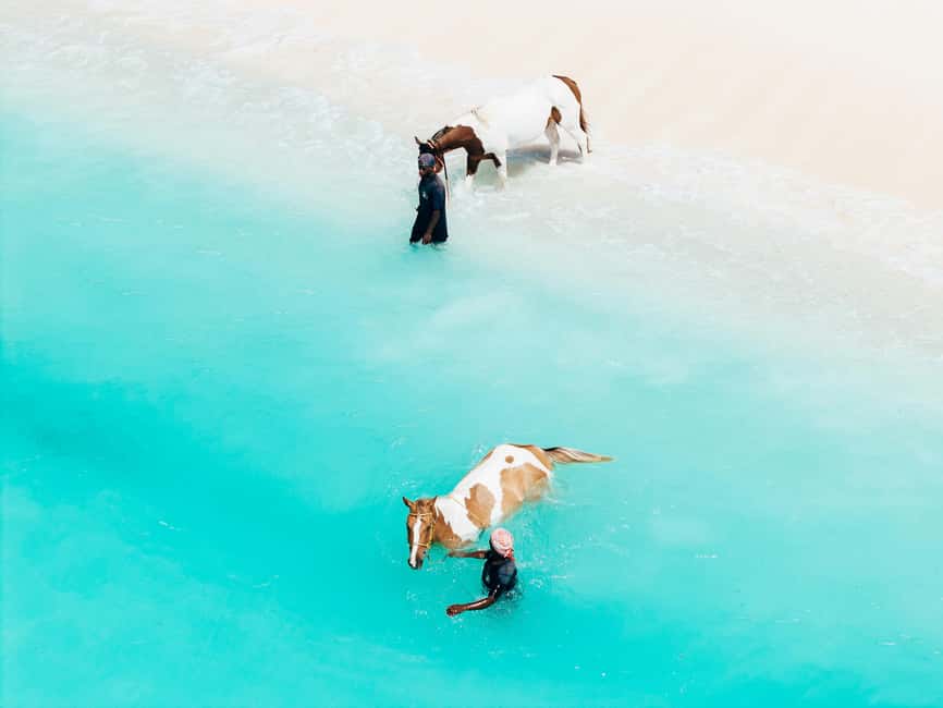 Bahamas: Nassau Horseback Riding on Beaches & Trails - The signature moment in the Caribbean Sea