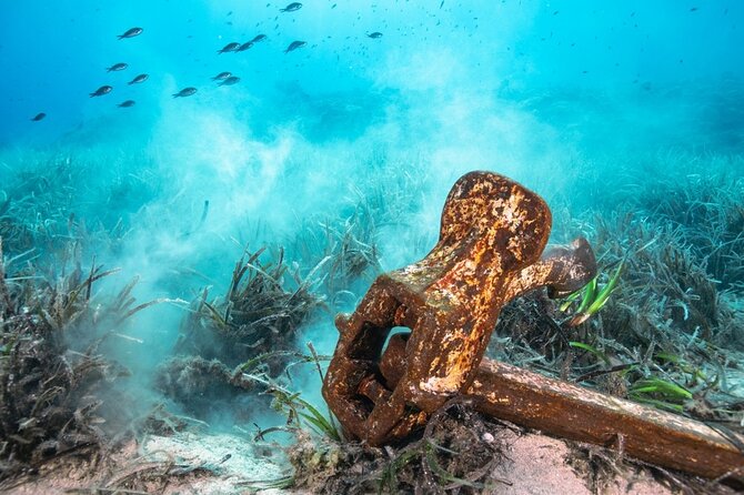 Bahamas on a Semi Submersive Glass Bottom Boat - The underwater observatory keeps you dry