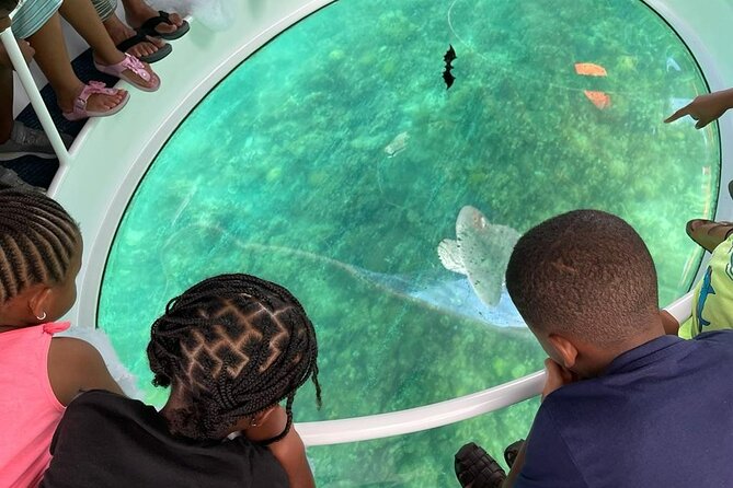 Bahamas on a Semi Submersive Glass Bottom Boat - Nassau’s homes and yachts fill out the above-water views