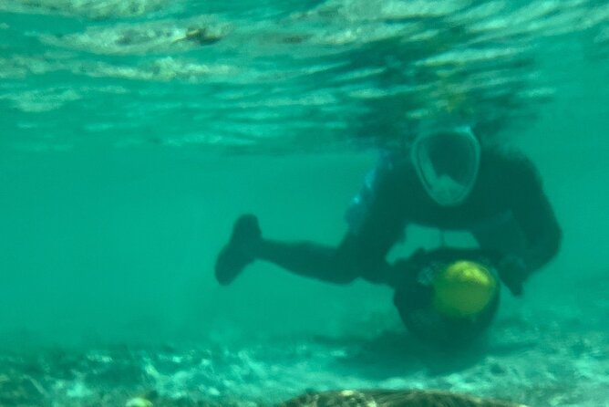 Bahamas Sea Scooter Snorkeling Adventure - Paradise Cove and the coral reef