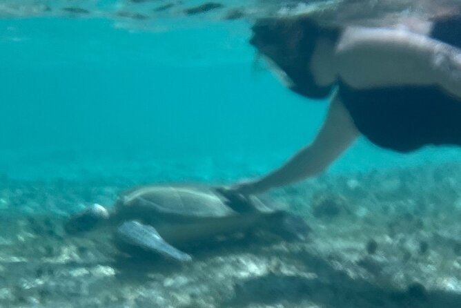 Bahamas Sea Scooter Snorkeling Adventure - Lunch on the beach, then time to slow down