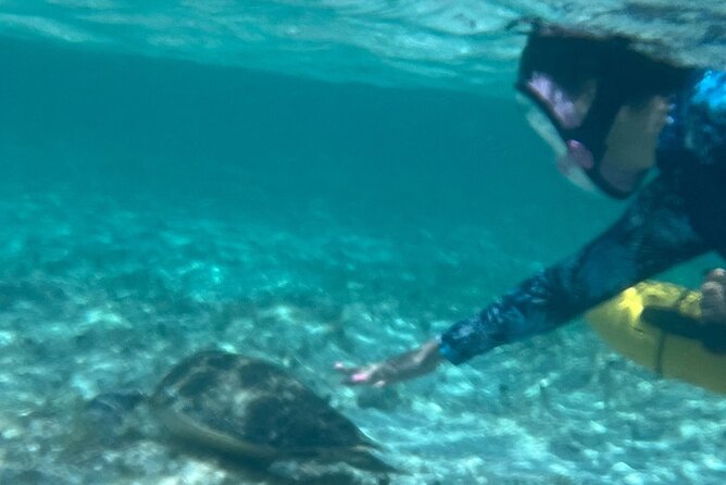 Bahamas Sea Scooter Snorkeling Adventure - Who will enjoy this outing most
