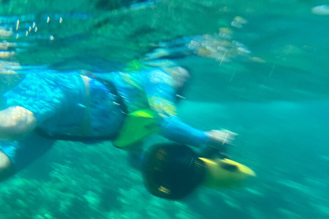 Bahamas Sea Scooter Snorkeling Adventure - Practical details for a smoother day