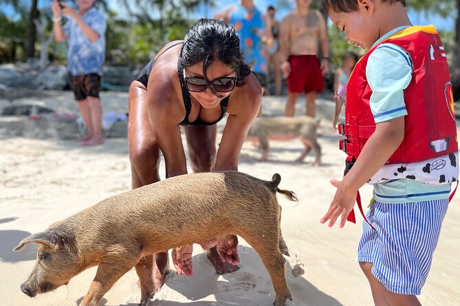 Bahamas Swimming Pigs Experience on Rose Island - Rose Island gives you more than a pig photo
