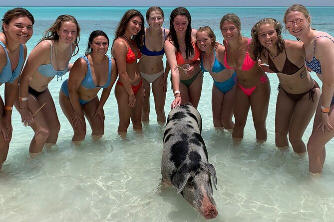 Bahamas Swimming Pigs Experience on Rose Island - Lunch is a real part of the value