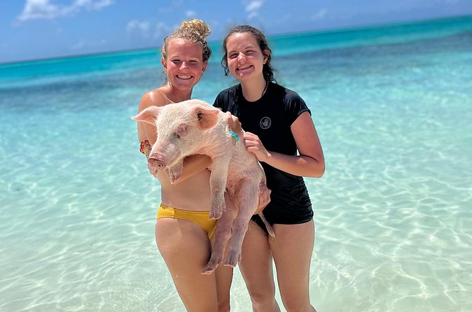 Bahamas Swimming Pigs Experience on Rose Island - Group size and the private-tour wording