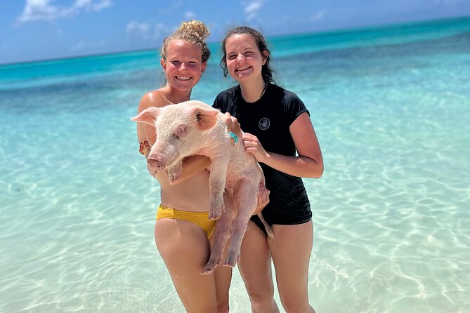 Bahamas Swimming Pigs Experience on Rose Island - What the $179 price buys you