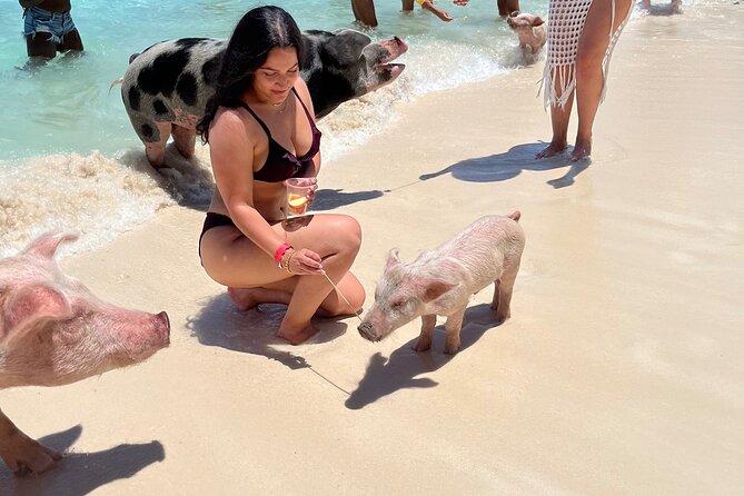 Bahamas Swimming Pigs Experience on Rose Island - The staff can shape the whole day