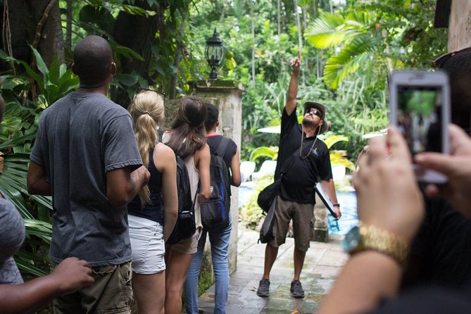 Bites of Nassau Food and Walking Tour - A Walk That Requires Real Shoes