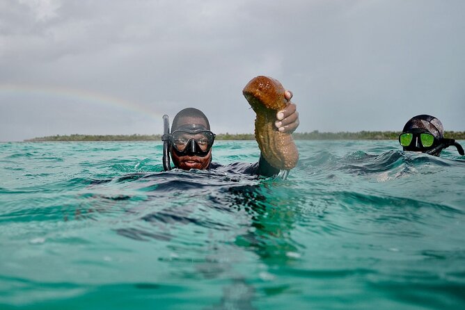 Blue hole, drift snorkeling, turtles Celebration Key is welcome - The real price is higher than $121