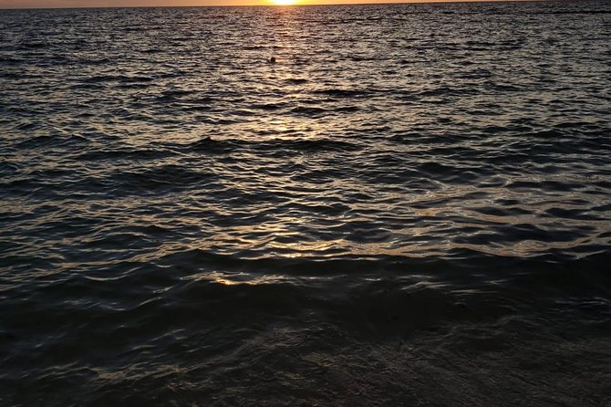 Bluefinn242 Swim with the Turtles in Nassau Bahamas - Guides who shape the experience