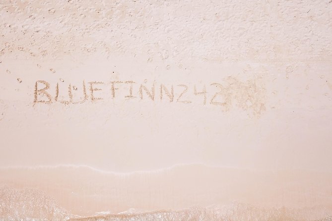 Bluefinn242 Swim with the Turtles in Nassau Bahamas - Timing, cancellations, and getting back